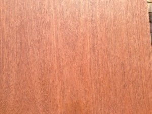 IMG_1651